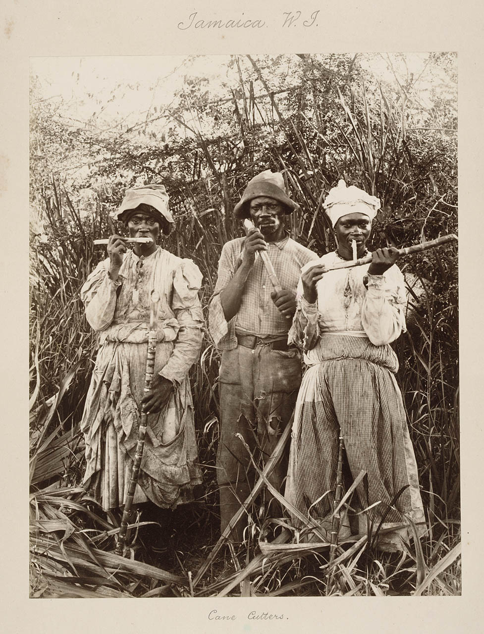 Jamaican cane cutters, mid 1800s after emancipation