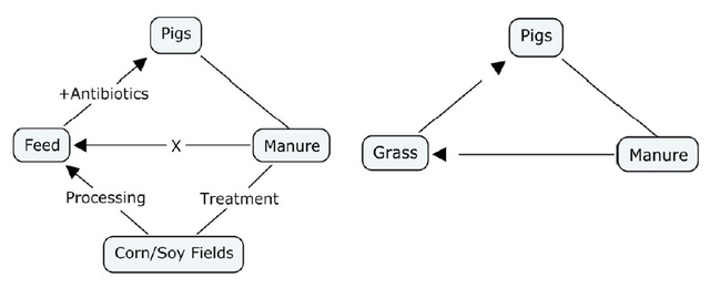 Figure 1. Conceptual nutrient cycles of conventional pig farming (left) and alternative methods, specifically pasture-raised pigs (right).