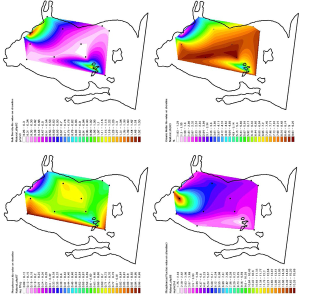 Figure 7. These figures are GIS models of the Western Basin of Lake Erie derived from natural neighbor contouring. (a) The top-left graph shows organic matter bulk density (g/cm3). (b) The top-right graph represents organic matter concentration as percent by mass. (c) The bottom-left map shows phosphorous concentrations as mg (P)/g (water). (d) The last map shows phosphorus flux in mg/m2/d. Data from Matisoff (Online Table 7).