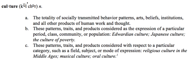 Culture definition